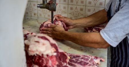 Zakażone mięso w Europie? Kontrole o coraz niższych standardach