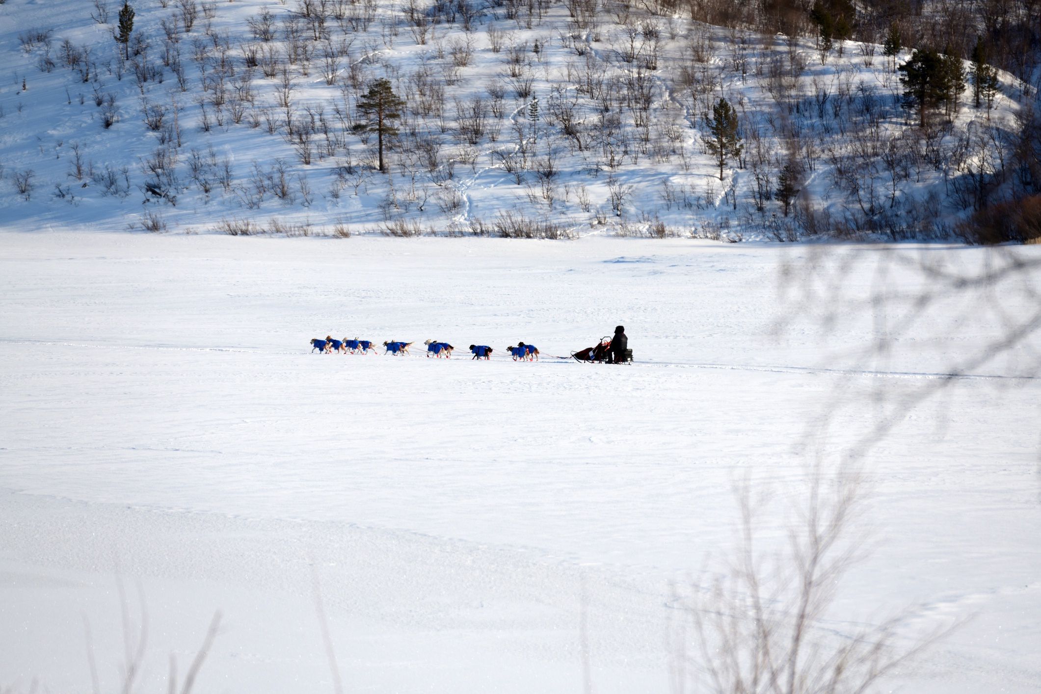Półnc Europy staje się szczególnie popularna w okresie świąteczn