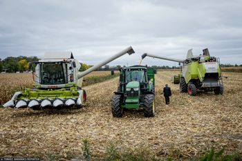 Wyprowadzają się na wieś i narzekają. Rząd planuje nowe przepisy