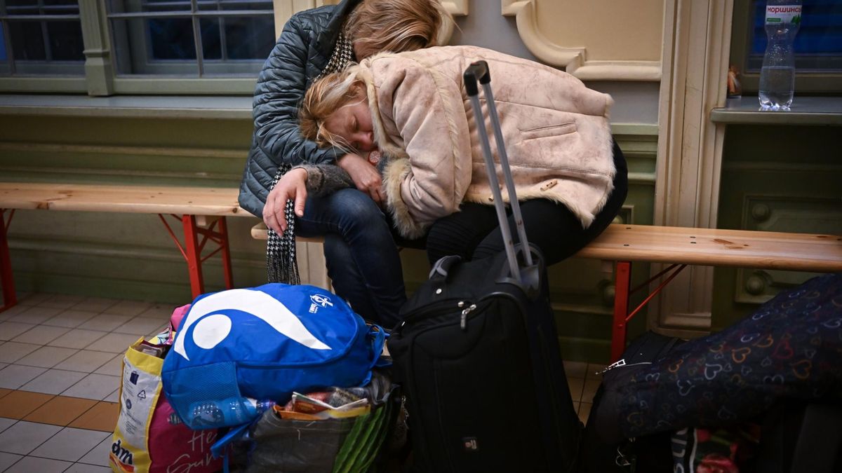 Syndrom gotującej się żaby może dotknąć zarówno uchodźców z Ukrainy, jak i osoby niosące pomoc ofiarom wojny i katastrof