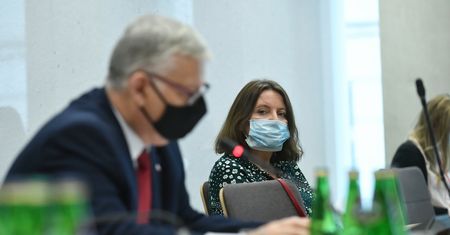 Lichocka: nie popieram projektu Suskiego