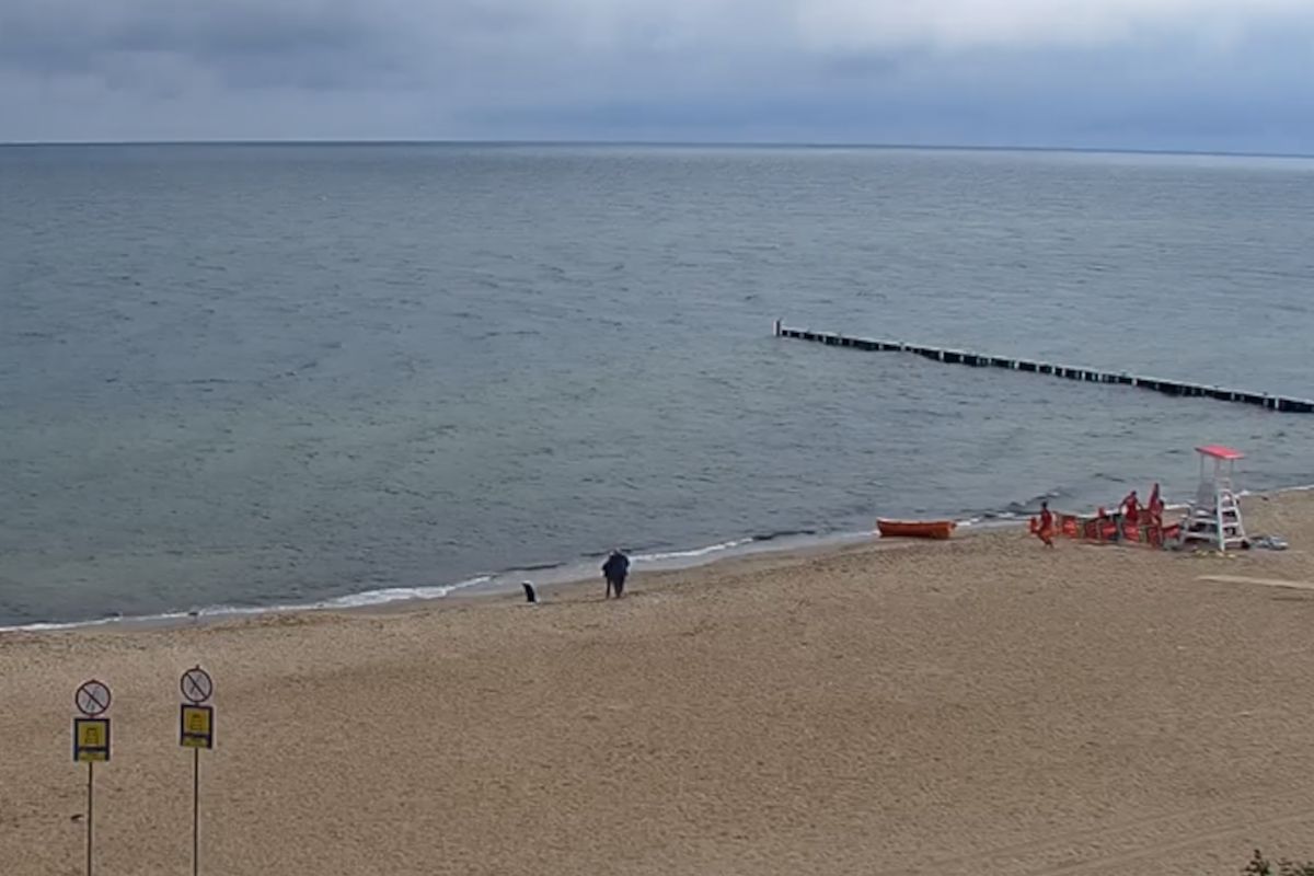 Nieprzytomna kobieta na plaży w Mielnie. Myśleli, że się topiła