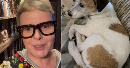 Korwin-Piotrowska pokazała zdjęcie psa po sylwestrze. "Fatalna noc"