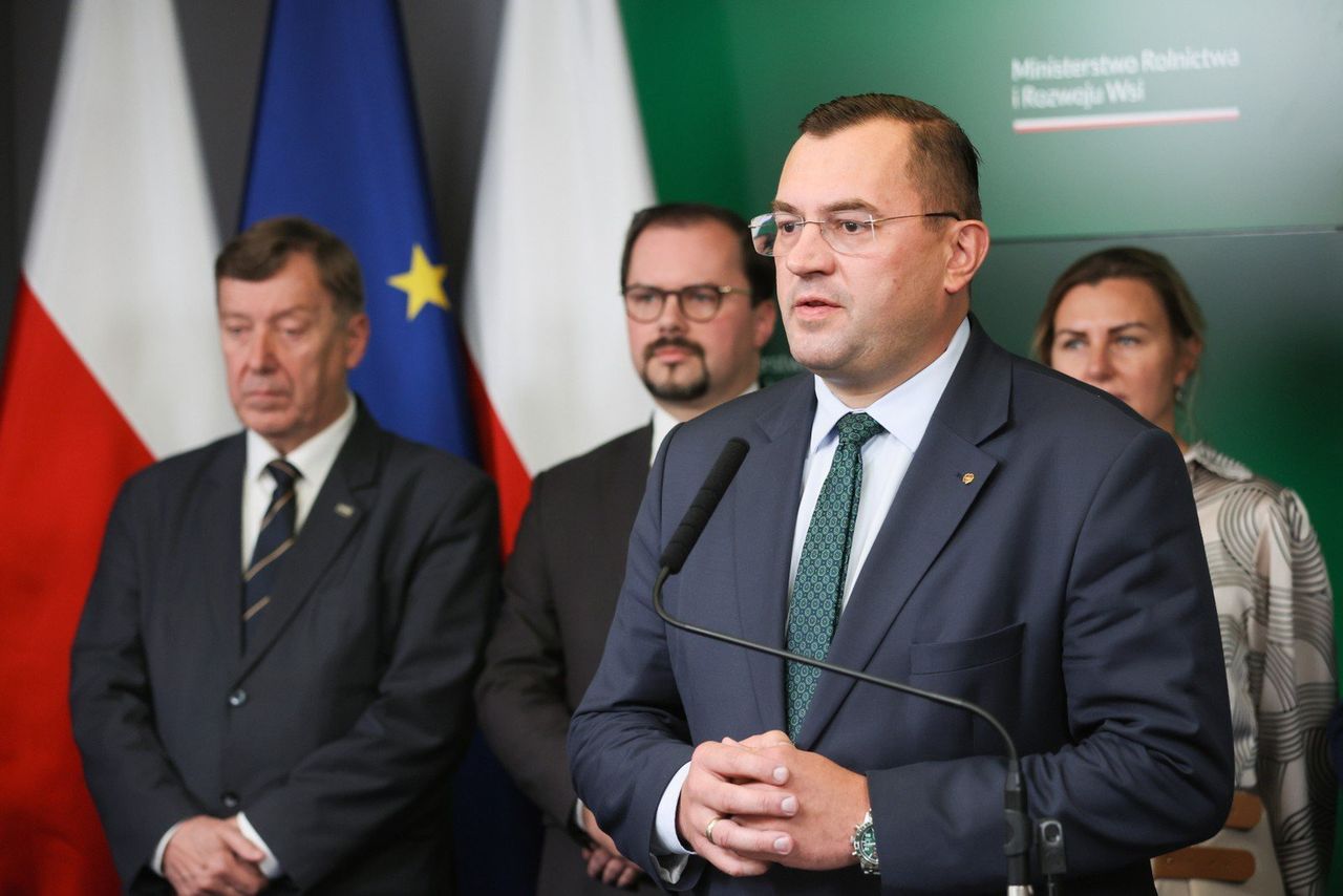 Nadwyżka zbóż w bieżącym sezonie będzie rekordowa