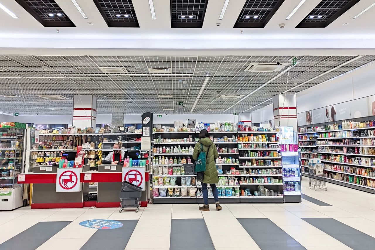 Rossmann wycofuje dwa produkty. Wykryto martwe pszczoły