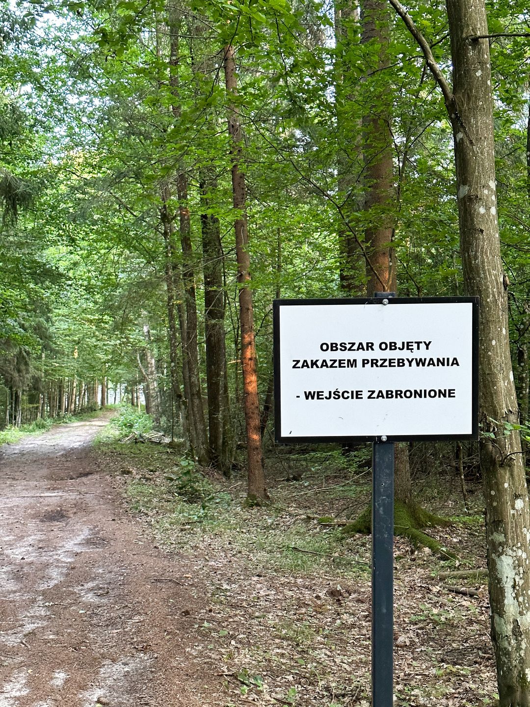 Puszcza Białowieska jest w centrum kryzysu migracyjnego