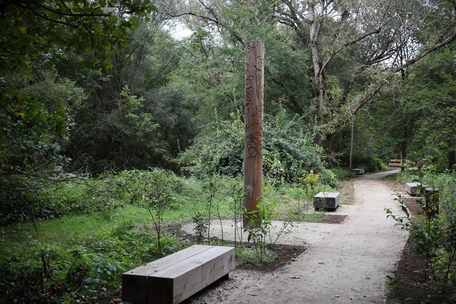 Park rzeczny Wilga w Krakowie