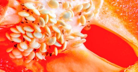 4 produkty, które dietetycy polecają latem. Wspaniale nawadniają, obniżają cholesterol