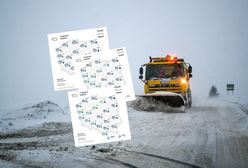 Polska rozdarta pogodowo. Wiosna na zachodzie, mróz na wschodzie