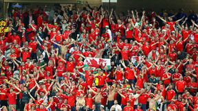 Euro 2016: belgijscy fani pokazali klasę. Tak pogratulowali awansu Walijczykom