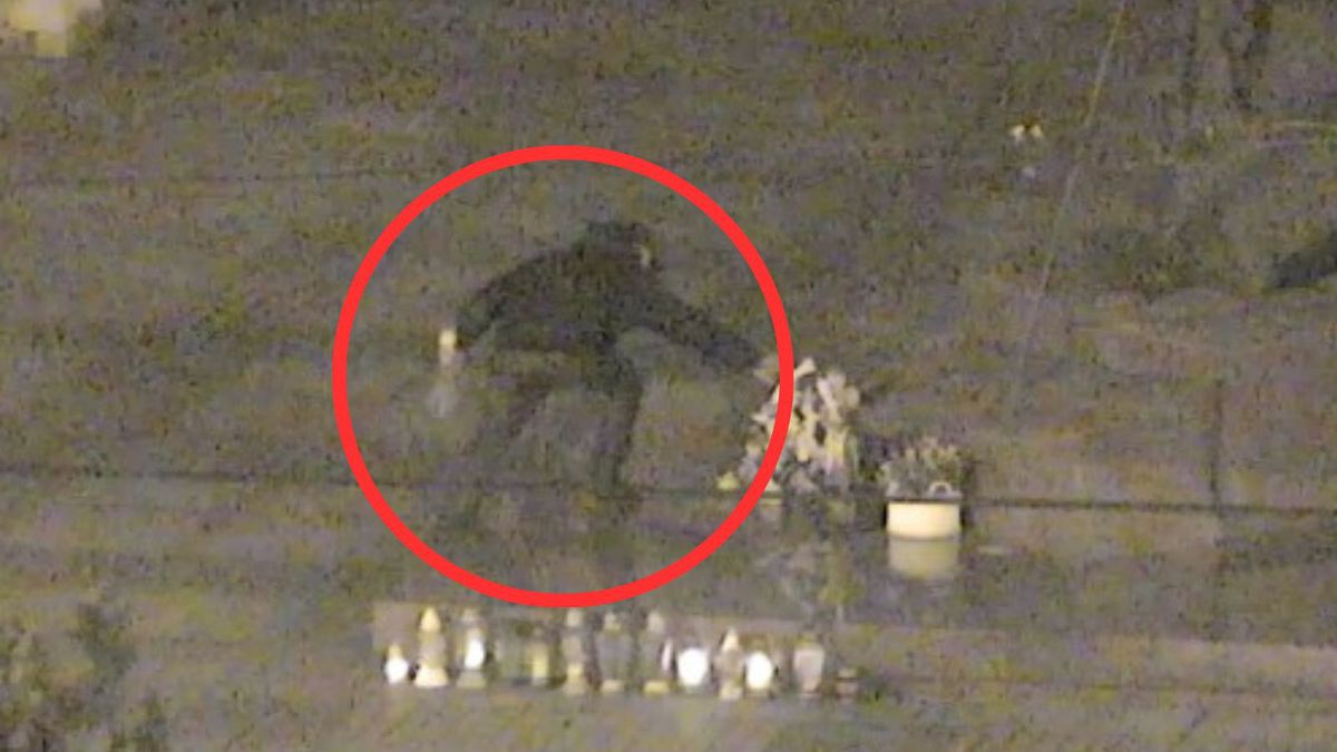 Łódź. Nagranie pod pomnikiem papieża. Bulwersujące zachowanie