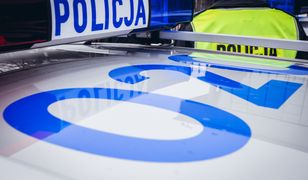 37 osób oskarżonych. Udział w zorganizowanej grupie przestępczej