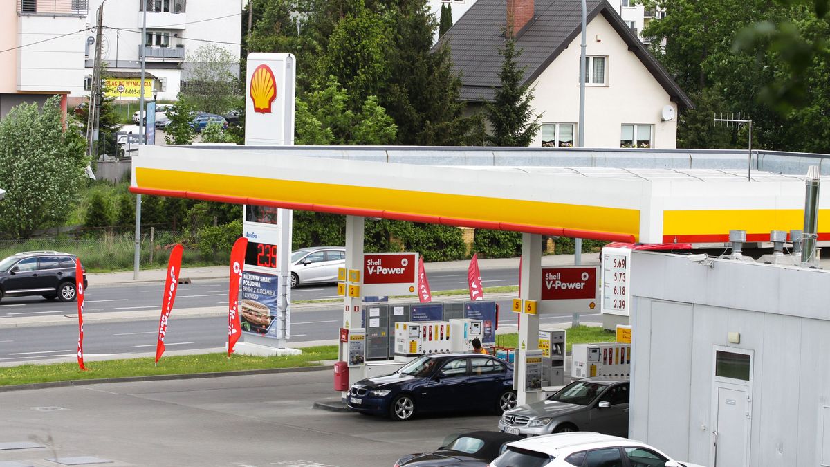 Shell planuje przeznaczyć środki z opłat na wspieranie projektów zalesienia