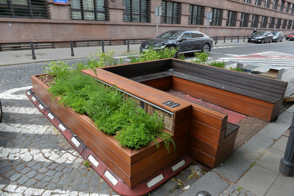 Warszawa. Mini park na wydzielonym pasie jezdni zbudowany w ramach budżetu obywatelskiego