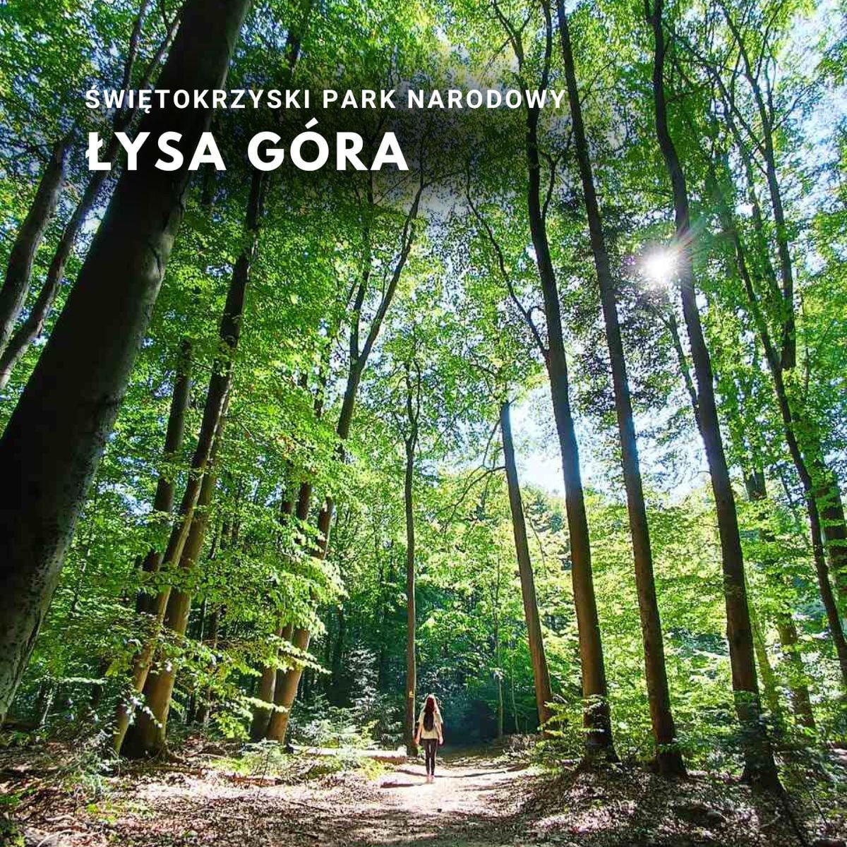 Gołoborze na Łysej Górze – Atrakcje w Świętokrzyskim Parku Narodowym