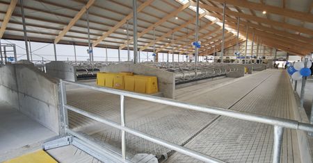 Jedna z najnowocześniejszych obór w Europie otwarta w powiecie pilskim