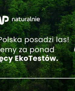 Wirtualna Polska posadzi las. Pochłonie 7 ton CO2