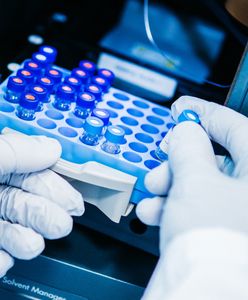 Wielka Brytania. 77 przypadków zakażenia południowoafrykańską odmianą koronawirusa