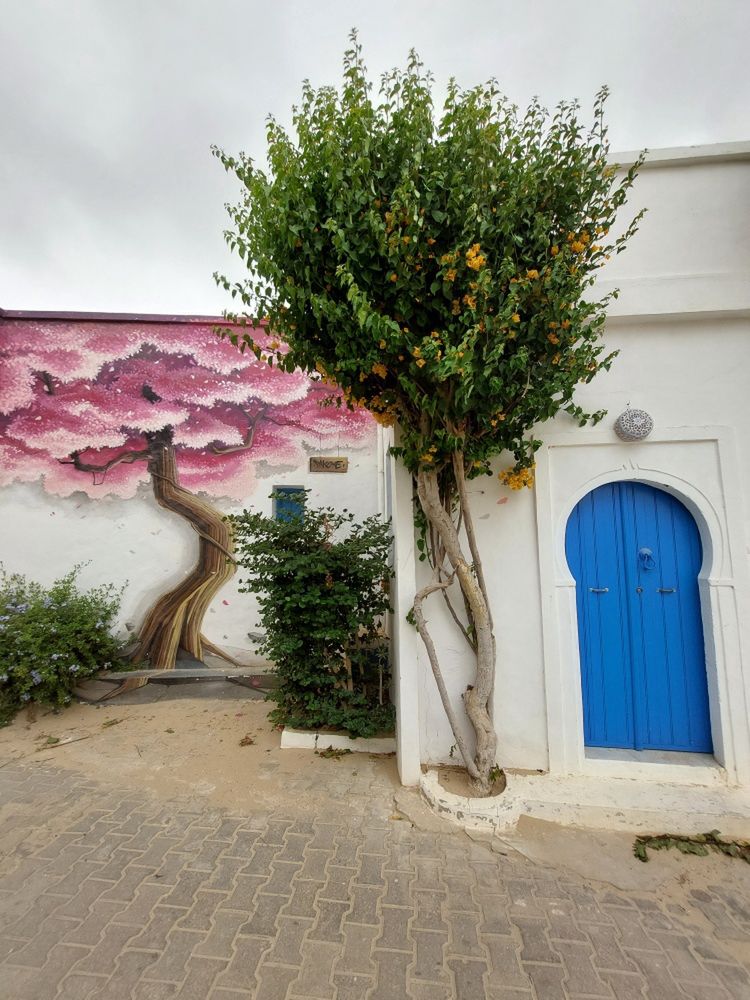Djerbahood