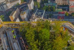 Warszawa. Korony najbliżej nieba. Drzewa wjechały na taras Varso Tower