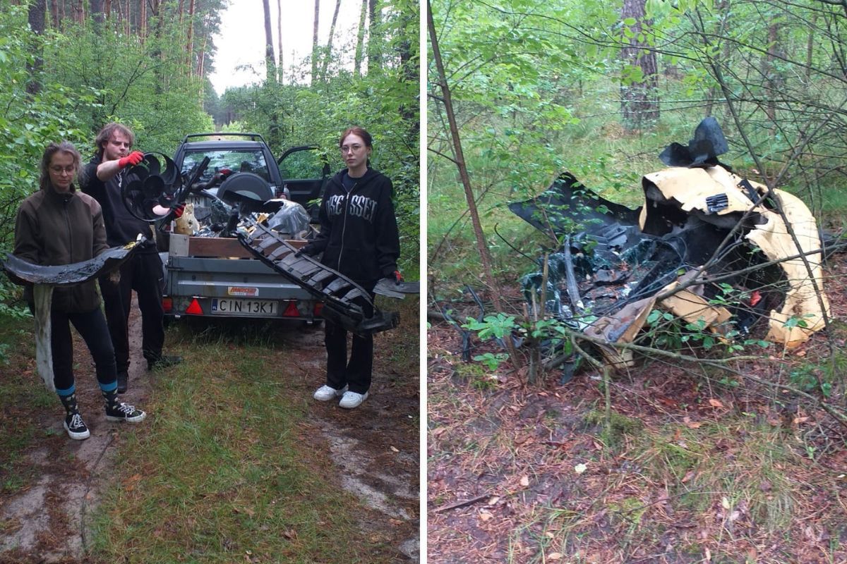 Części samochodu w środku lasu. Leśnicy publikują wymowny apel