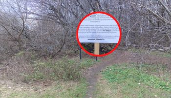 Pojawiły się w Warszawie. Ludzie pełni obaw. "73 sztuki"