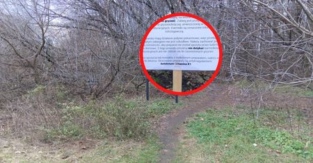 Pojawiły się w Warszawie. Ludzie pełni obaw. "73 sztuki"