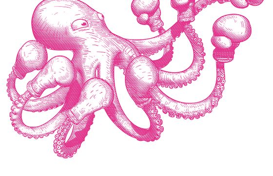 carVertical nowym klientem MullenLowe MediaHub