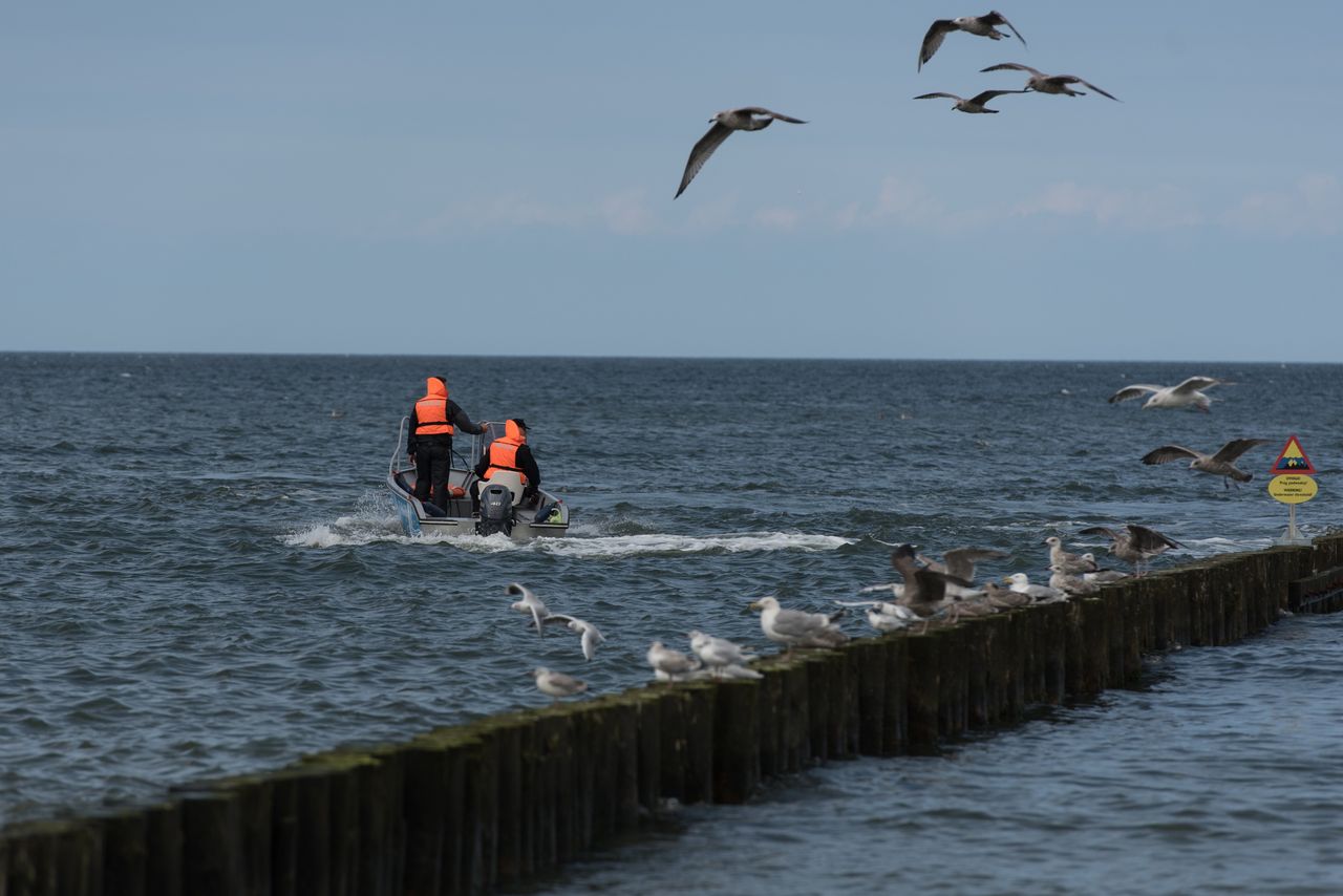 Ciało kobiety dryfowały przy plaży