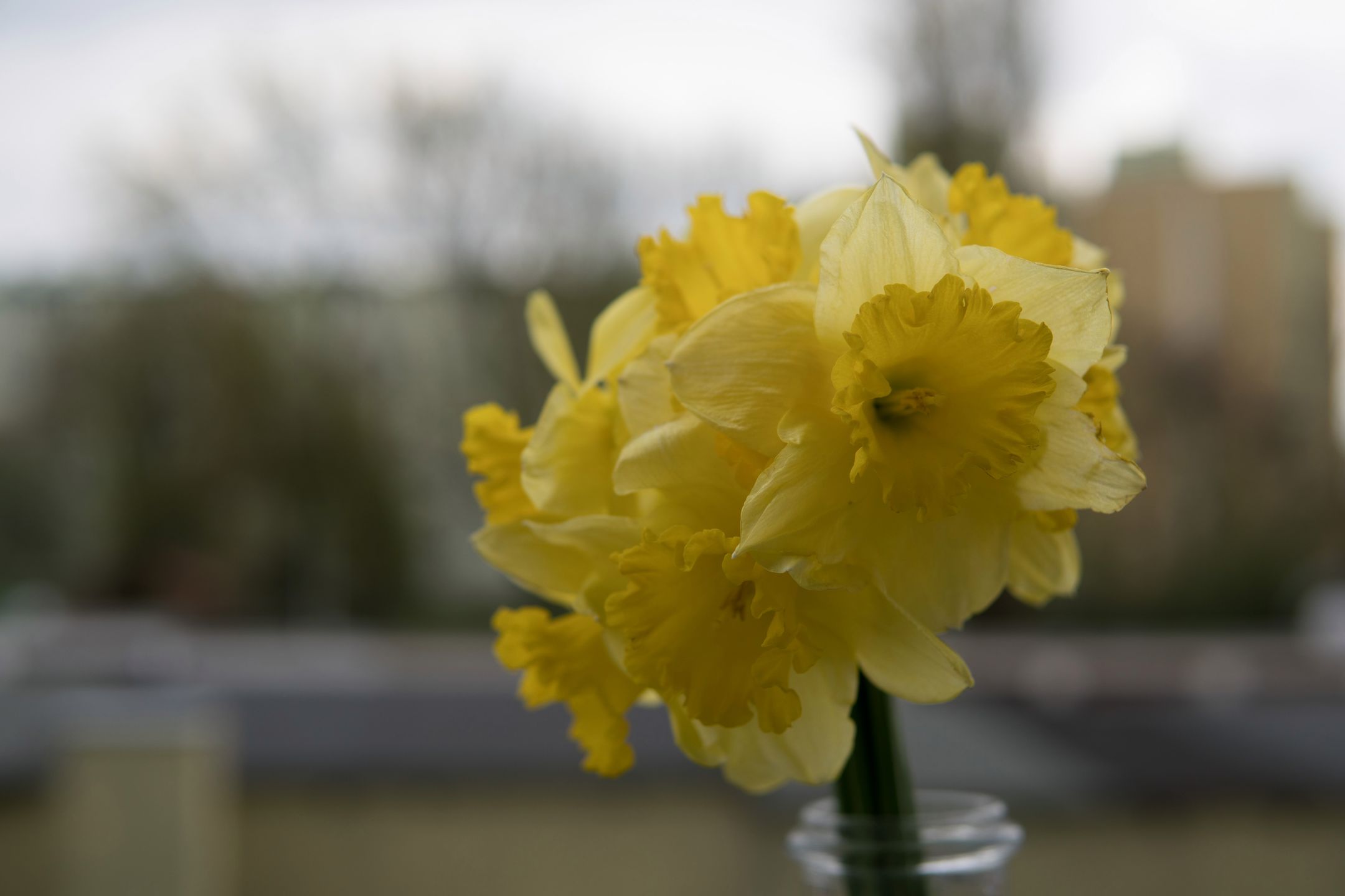 Sigma 30 mm f/1.4 DC DN - recenzja jasnego obiektywu stworzonego z myślą o bezlusterkowcach 24