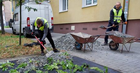 Wytypowano te miejsca, w których po opadach stała woda. Ogród deszczowy odbierze nadmiar deszczówki
