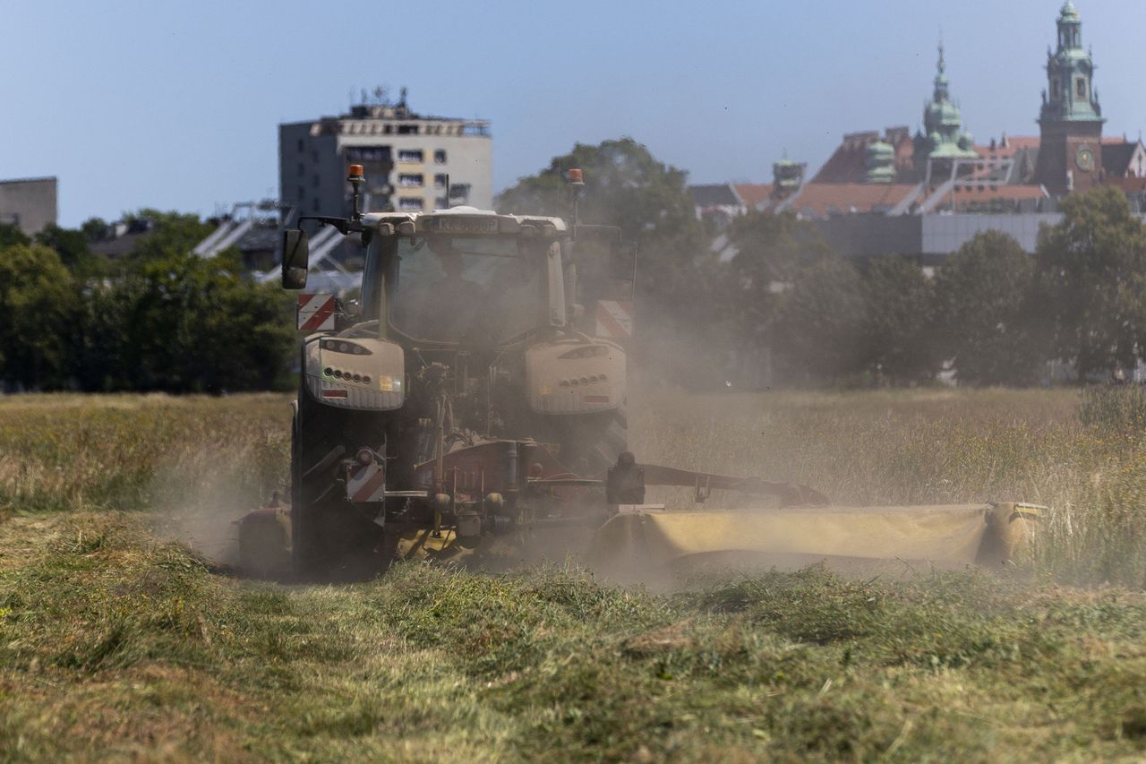 Wszyscy na traktory, w mieście i na wsi. Płacą 8,5 tys. zł miesięcznie