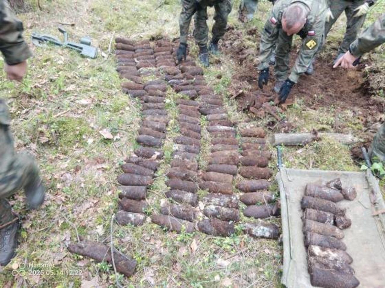 Było ich aż 140 sztuk. Leśniczy aż zdębiał