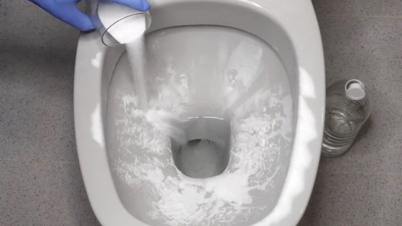 Sprinkling the toilet with powder is a brilliant way to get it clean.