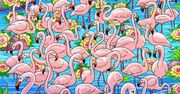 Znajdź dziewczynkę wśród flamingów. Masz 10 sekund