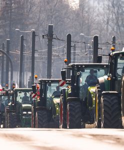 Rolnicy planują protesty. "To jest kpina w żywe oczy"