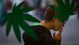 Nasi sąsiedzi legalizują marihuanę. Do 100 gramów na własny użytek