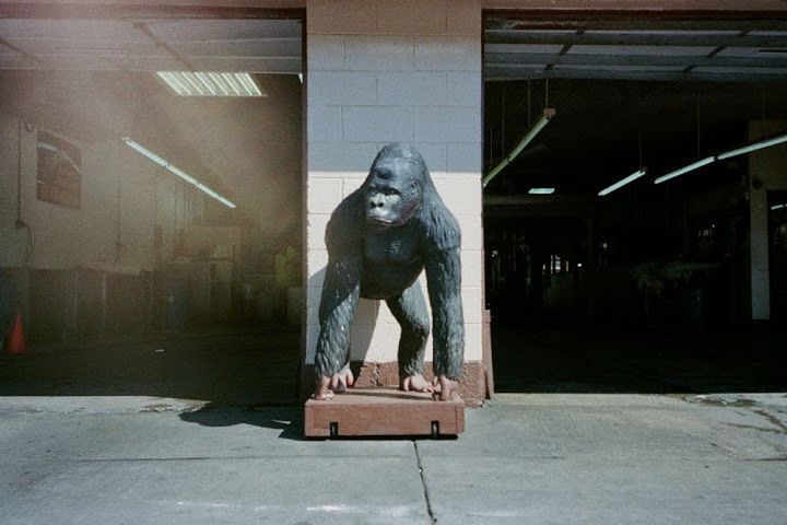 „Some Things are Quieter than Others” Jacka Foty w Leica Gallery 7