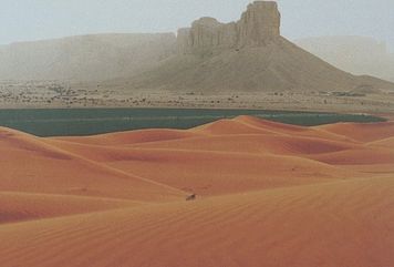 Zaskakujące odkrycia geologa. Znalazł ślady ewolucji roślin w Arabii Saudyjskiej