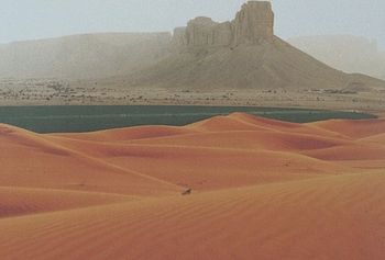 Zaskakujące odkrycia geologa. Znalazł ślady ewolucji roślin w Arabii Saudyjskiej