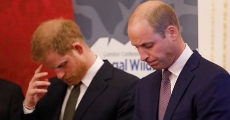 Książę Harry przesadził. Jeszcze nigdy nie potraktował tak starszego brata