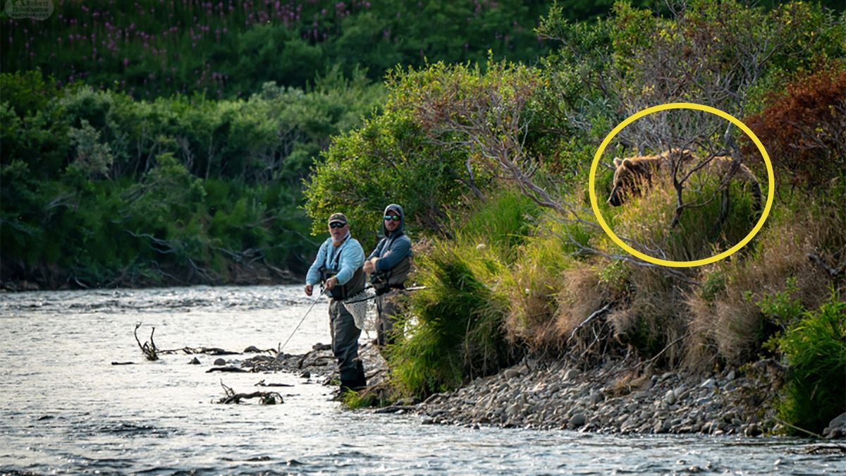 Zdjęcie ważniejsze niż życie. Ten fotograf był nieodpowiedzialny 1