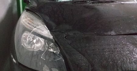 Stłuczka z łosiem a odszkodowanie. Brak znaku to nie podstawa, by dostać pieniądze