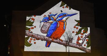 Nowa Sól: Taki będzie nowy mural. Swoje gniazdo uwiją zimorodki