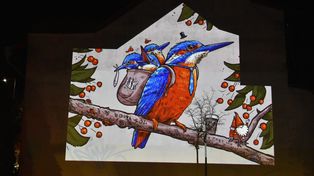 Nowa Sól: Taki będzie nowy mural. Swoje gniazdo uwiją zimorodki