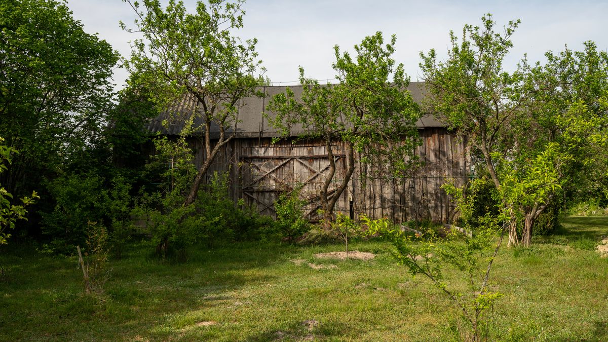 Mężczyzna więził kobietę w stodole (zdjęcie ilustracyjne)