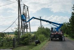 Nawałnica z gradem w gminie Gniew. Powalone drzewa, zerwane dachy. Straty są ogromne