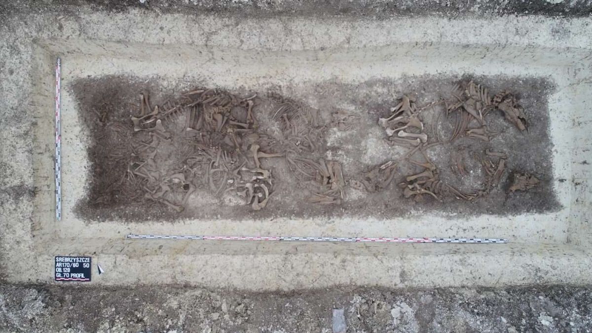 Obwodnica Chełma prace archeologiczne