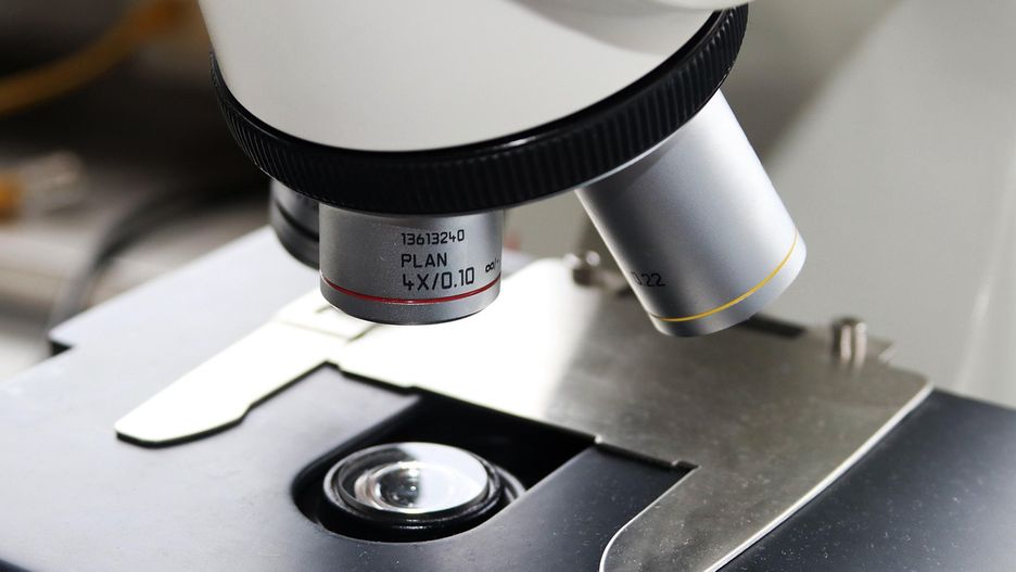 Lublin zmienia się w stolicę nauki