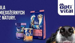 Optivital w gronie klientów agencji Ancymony